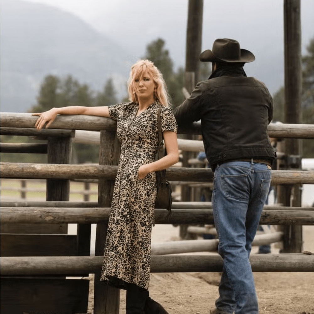 Aritzia Wilfred Leopard Print Dress